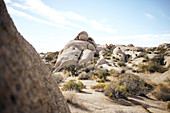 View of rocky landscape of Jumbo Rocks in Joshua Tree Park, California, USA.