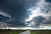 Country road and a dog on the field under storm clouds near Bucharest, Romania.