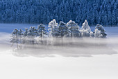Eibseeinsel im Winter, Garmisch-Partenkirchen, Bayern, Deutschland