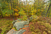 Herbst im Naturpark Steinwald, Erbendorf, Tirschenreuth, Oberpfalz, Bayern, Deutschland