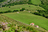 Deep view of alpine pastures and meadows, Picos de Europa, Picos de Europa National Park, Cantabrian Mountains, Asturias, Spain
