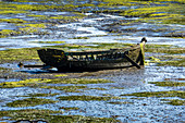 Old boat in Brittany at low tide, France, Europe