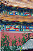 Detail of the colorful Chinese architecture in the Forbidden City in Beijing, China.