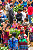 Leute vom Blumen-Hmong-Stamm am Markt, Bac Ha, Provinz Lao Cai, Vietnam.