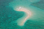 Luftaufnahme von Undine Reef, Great Barrier Riff, Marine Park, Nord-Queensland, Australien