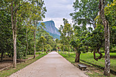 The Rio de Janeiro Botanical Garden shows the diversity of Brazilian and foreign flora. There are around 6,500 species (some endangered) distributed throughout an area of 54 hectares, and there are numerous greenhouses. The garden also houses monuments of historical, artistic and archaeological significance. There is an important research center, which includes the most complete library in the country specializing in botany with over 32,000 volumes.\n\nIt was founded in 1808 by King John VI of Portugal. Originally intended for the acclimatisation of spices like nutmeg, pepper and cinnamon import