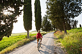 Cyclist on dirt road at sunset, Tuscany, Italy. Model released.