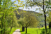 Danube Cycle Path in early spring near Engelhartzell, Austria
