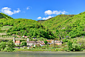 Spitz an der Donau mit schöner Bergkulisse im Frühling, Österreich