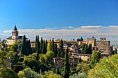 Blick auf die Alhambra und Parkanlage, Granada, Andalusien, Spanien