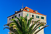 Altes, turmförmiges Haus und eine Palme, Rogoznica, Dalmatien, Kroatien