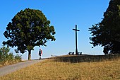 Aufstieg zur Walberla bei Kirchehrenbach, Landschaft, Baum, Kreuz, Person, Fränkische Schweiz, Ober-Franken, Bayern, Deutschland