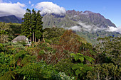 An der Gite de Bélouve oberhalb von Hell-Bourg im Cirque de Salazie, Wolken am Piton des Neiges, La Réunion, Frankreich