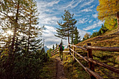 Wanderer im Herbst in den Dolomiten beim Neuner, Zehner, Heiligkreuzkofel, Alta Badia, Südtirol
