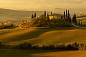 Agriculture; Outdoor shot; Outdoor shot; Tree; Belvedere; Outside; Europe; Autumn; Autumn landscape; Outdoors; Italy; Landscape; Agriculture; Central Italy; Close to Orcia Valley; Podere; San San Quirico d'Orcia; Siena; Pienca; Sunrise; Day; Tuscany; Unesco world natural heritage; UNESCO World Heritage Site; Cypress trees