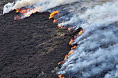 Muir burning - controlled burning of heather in spring,\nLammermuir Hills, East Lothian, Scotland, April 2009
