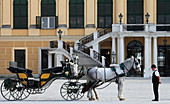 Österreich, Wien, Schloss Schönbrunn, Pferdekutsche