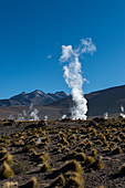 Dampf steigt aus den heißen Quellen im geothermischen Becken von El Tatio Geysirs bei San Pedro de Atacama in der Atacama-Wüste, Nordchile, auf.