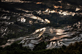 Bada rice terraces in yuanyang rice terraces area, Yunnan, Southern China, China