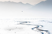 Valdez Fjord bei Ebbe, Prince William Sound, Alaska