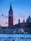 Tauben und Kormorane fliegen bei Sonnenaufgang im Markusbecken mit der St.-Georgs-Insel im Hintergrund, Venedig, Venetien, Italien