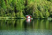Fisherman hut on lake shore surrounded by woods, Hagafoss, Hol municipality, Buskerud county, Norway