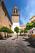 City of Cordoba, Andalusia, Spain.