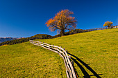 Italy, Trentino - Alto Adige, Bolzano province, Dolomites,  Val di Funes.