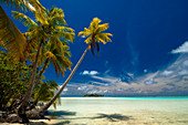 Blaue Lagune, Rangiroa, Tuamotu-Archipel, Französisch-Polynesien.
