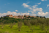 Montepulciano, Val d'Orcia, Siena province, Tuscany, Italy.