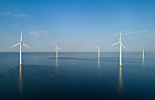 Windkraftanlagen am frühen Morgen, Flevoland, Niederlande.