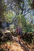 France, Corse-du Sud (2A), Rocca region, Mare e Monti Sud hiking trail, between Olmeto and Porto Pollo