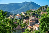 France, Corse-du Sud (2A), Alta Rocca region, Mare a Mare Sud hiking trail, stop at Levie village