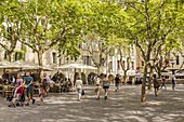 Frankreich, Gard, Pays d'Uzege, Uzes, der Place aux Herbes, umgeben von Arkadenhäusern und seinen Straßencafés