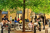 France, Bouches du Rhone, Aix en Provence, place des Trois Ormeaux
