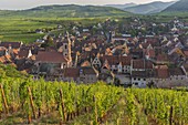 Frankreich, Haut Rhin, Route des Vins d'Alsace, Riquewihr mit der Bezeichnung Les Plus Beaux Villages de France (eines der schönsten Dörfer Frankreichs)