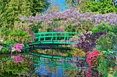 France, Eure, Giverny, Claude Monet Foundation, the japonese garden with wisteria in blossom