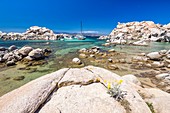 Frankreich, Südkorsika, Bonifacio, Naturschutzgebiet der Inseln Lavezzi, Strand von Cala della Chiesa