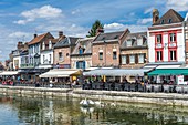 France, Somme, Amiens, Saint Leu district, Quai Belu on the banks of the Somme river