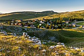 France, Drome, Regional Natural Park of Vercors plateau of Font Urle