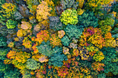 Abstrakt, Luftaufnahme, Laubfärbung, Herbst, Wald, Harz, Sachsen-Anhalt, Deutschland, Europa 