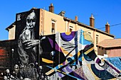 France, Bouches du Rhone, Marseille, Euromediterranee area, Les Crottes area, street art on the flea market walls, artist Wose and Dire 132
