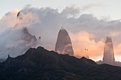 Frankreich, Französisch-Polynesien, Marquesas-Archipel, Ua Pou-Insel, Hakahau, Sonnenuntergang auf Ua Pou-Gipfeln