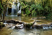 Frankreich, Jura, Les Planches Pres Arbois, Quelle des kleinen Cuisance, des Tuffs-Wasserfalls