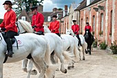 Frankreich, Orne, Pin au Haras, Gestüt Pin National, Präsentation der Dressur im Hof des Schlosses