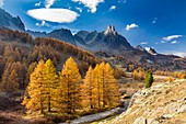 France, Hautes Alpes, Nevache, Claree valley, in the background the massif of Cerces (3093 m) and the peaks of the Main de Crepin (2942 m)