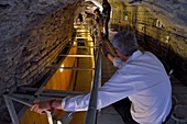 Frankreich, Bouches du Rhone, Arles, die Arenen, Römisches Amphitheater 80-90 n. Chr., Historisches Denkmal, das von der UNESCO zum Weltkulturerbe erklärt wurde, Ankunft der Stiere im Toril unter den Tribünen