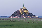 France, Manche, bay of Mont Saint Michel listed as World Heritage by UNESCO, salt meadow sheeps in front of Mont Saint Michel
