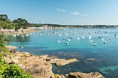 France, Finistere, Plougonvelin, the coast between the beach of Perzel and Trez Hir