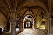 France, Haute Garonne, Toulouse, a stop on el Camino de Santiago, Saint Sernin basilica listed as World Heritage by UNESCO, the crypt
